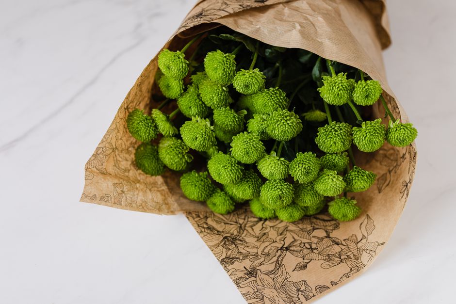 A bouquet of fresh green spherical flowers with textured petals, wrapped in brown recyclable paper with botanical line drawings, resting on a white surface. The arrangement showcases vibrant, healthy 