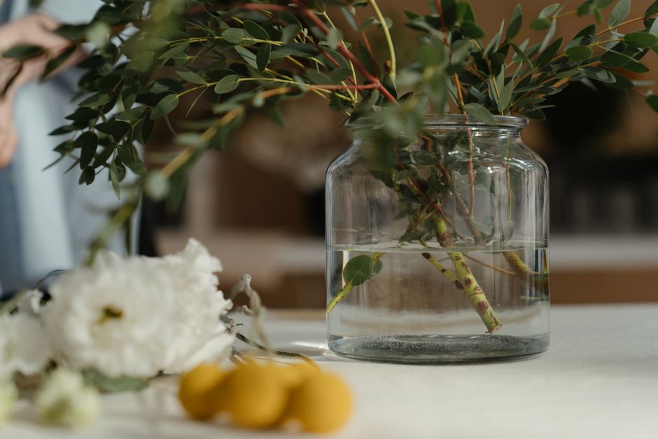 A clear glass vase filled with water, holding a bouquet of fresh green leafy eucalyptus stems with rounded, dark green leaves and reddish stems, is placed on a white surface. In the foreground, there 